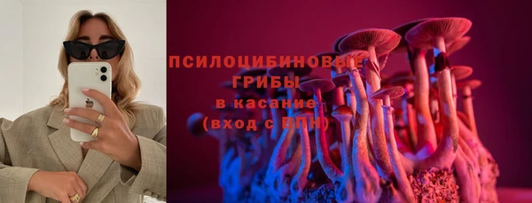 прущая мука Армянск