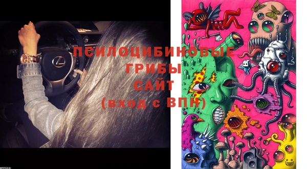 прущая мука Армянск