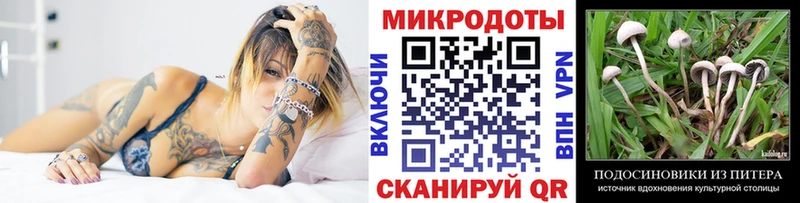Галлюциногенные грибы Magic Shrooms  где можно купить наркотик  Перевоз 
